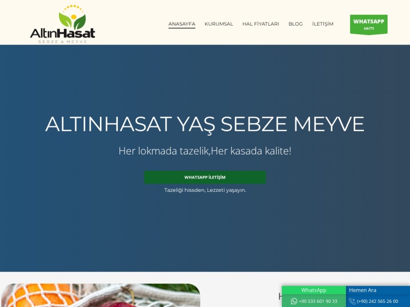 Altinhasat Web Tasarım