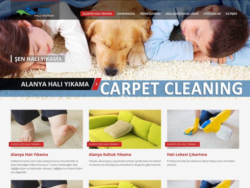 Senhalitemizleme Web Tasarım